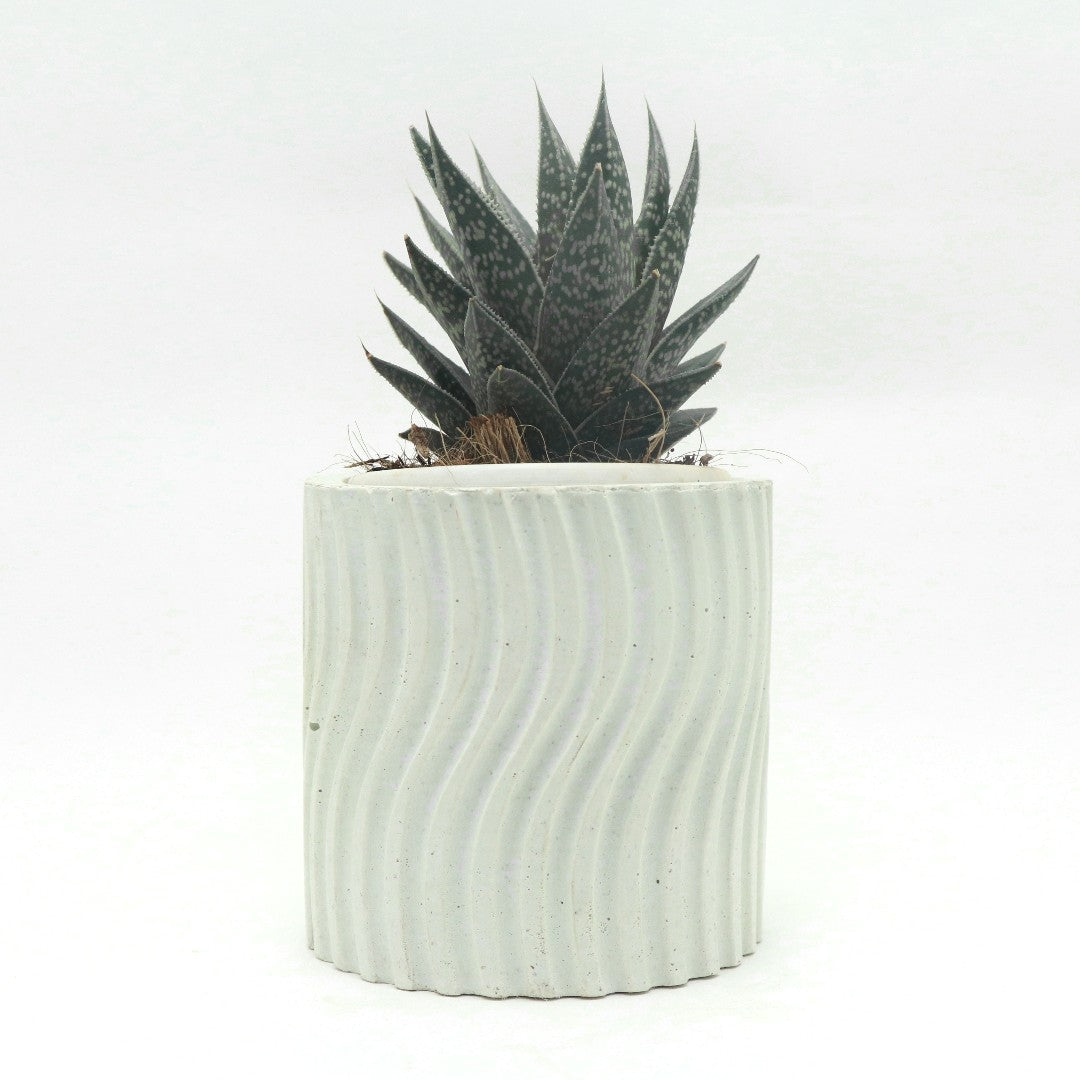 Concrete Planter (Model: AMZ) 4" White